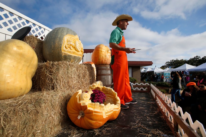 Bay area events to take you through tax day