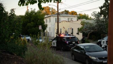 Oakland homicide decline ceasefire