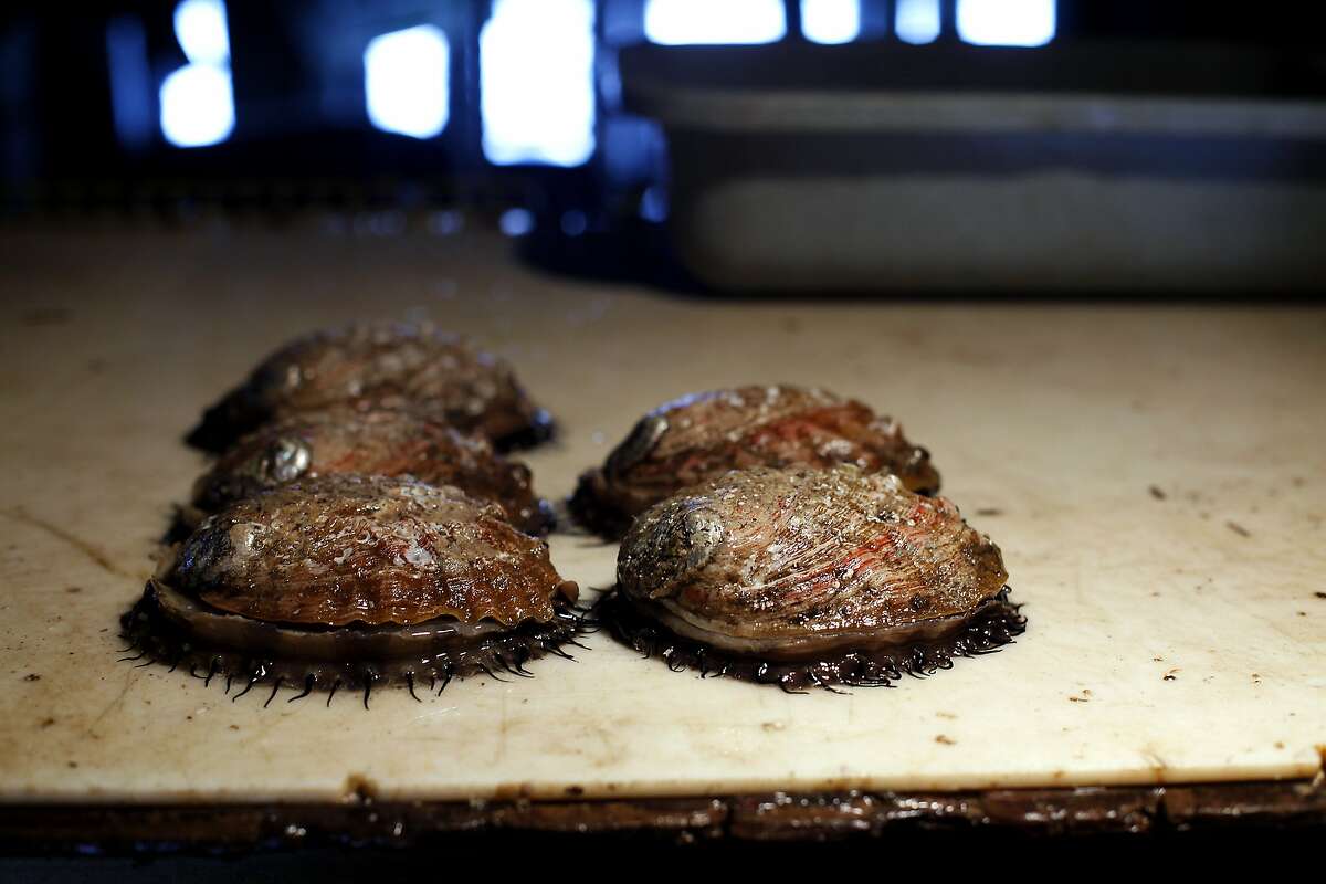 Abalone montereycountyweekly Sv chat growing abalone beneath the monterey wharf