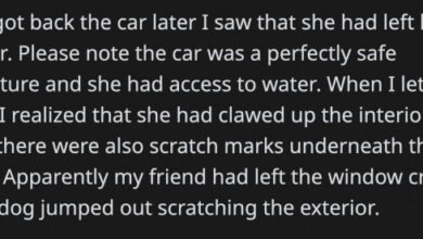 Harriette cole she wrecked our car