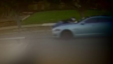 San jose no injuries after police officers shot at while in car