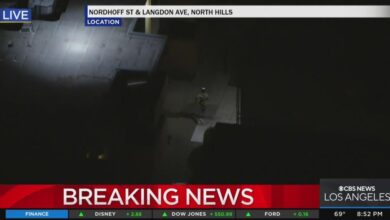 Wanted suspect runs across east bay highway during police chase