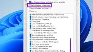 Fix blurry screens on windows 10 11