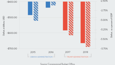 Trump economy year one