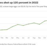 Egg prices bird flu trump plan