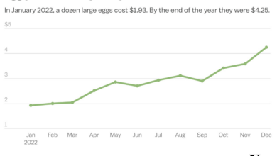 Egg prices bird flu trump plan