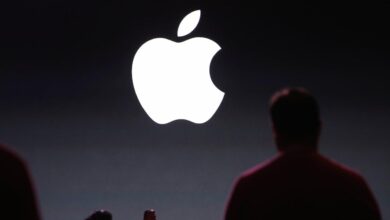 Apple shareholders not expected to scrap diversity programs despite broader backlash 2