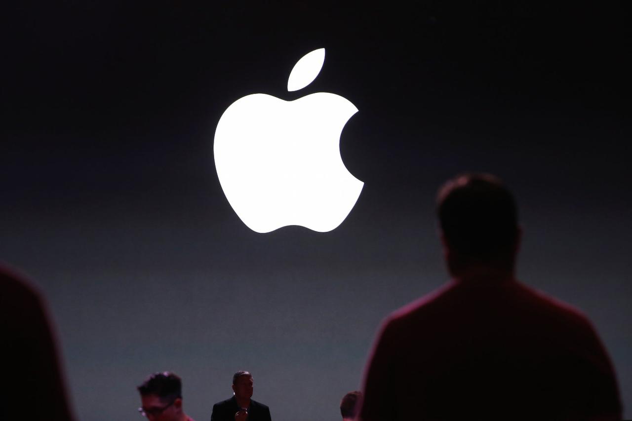 Apple shareholders not expected to scrap diversity programs despite broader backlash 2