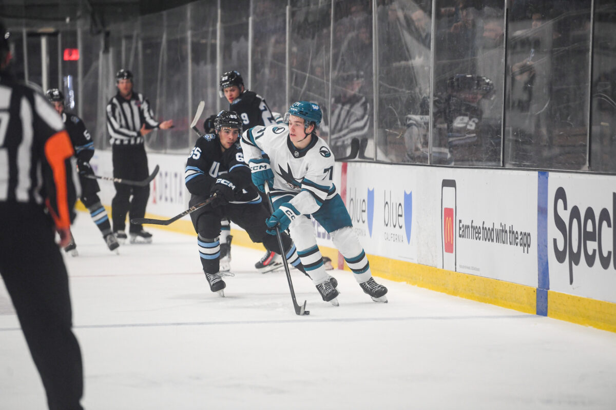 San jose sharks minnesota wild macklin celebrini joel eriksson ek