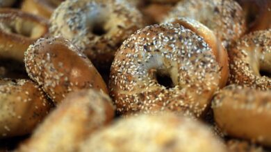 Boichik bagels new york bagel concord bay area