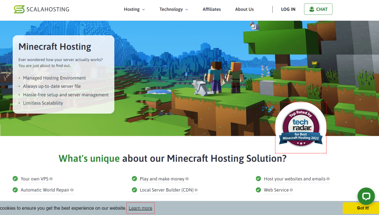 Best minecraft server hosting