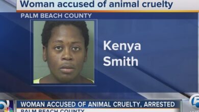 San joaquin co woman arrested for animal cruelty after dozens of horses found dead