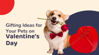 Why pets make great valentines