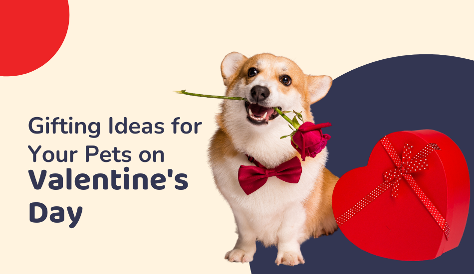 Why pets make great valentines