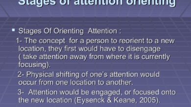 The psychology of attention