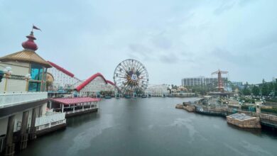 Disneyland moving slowly on rollout of 400 lightning lane premier pass