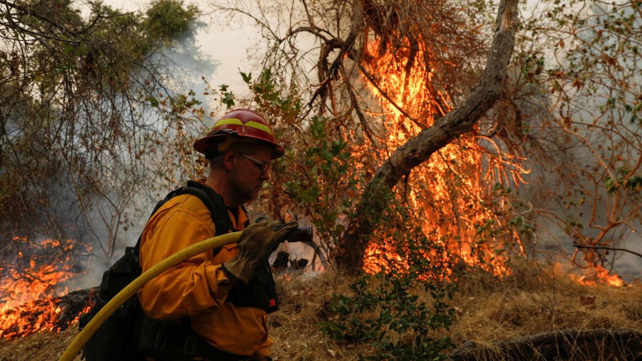 Misinformation about california fires is spreading like well wildfire