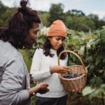 Cannabis friendly travel experiences embrace wellness and adventure in northern california