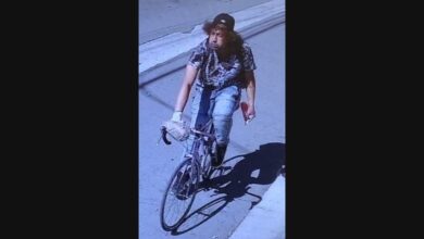 Redwood beaten poisoned allegedly