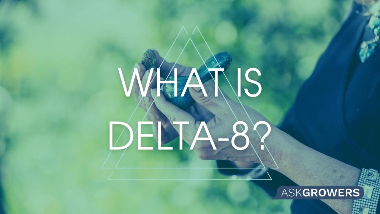 A complete guide to understanding delta 8 and where to find it