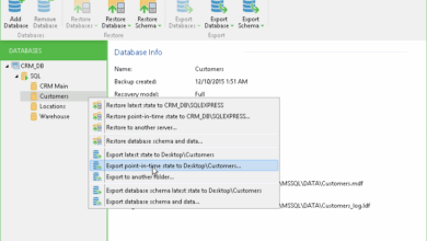 Server database backup tools