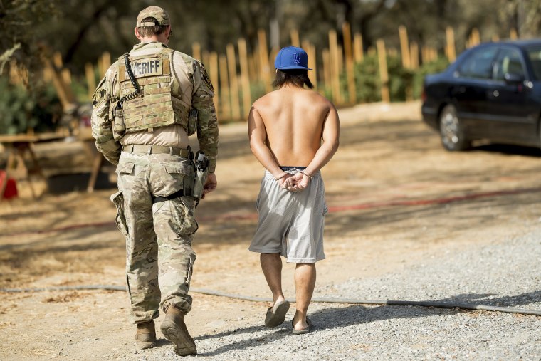 Man pleads guilty to illegal marijuana cultivation in los padres national forest