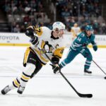 San jose sharks florida panthers pittsburgh penguins