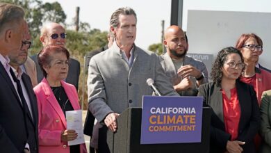 California democrats plan to tap new climate bond for la wildfire recovery