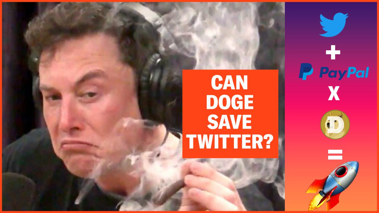 Elon musk usaid federal government doge