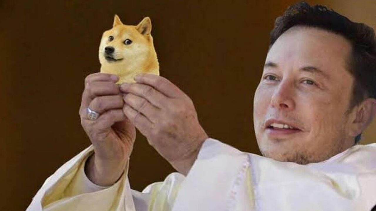Elon musk usaid federal government doge