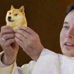 Elon musk usaid federal government doge