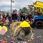 Us egg hunt europe