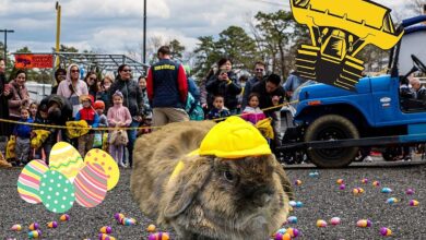 Us egg hunt europe