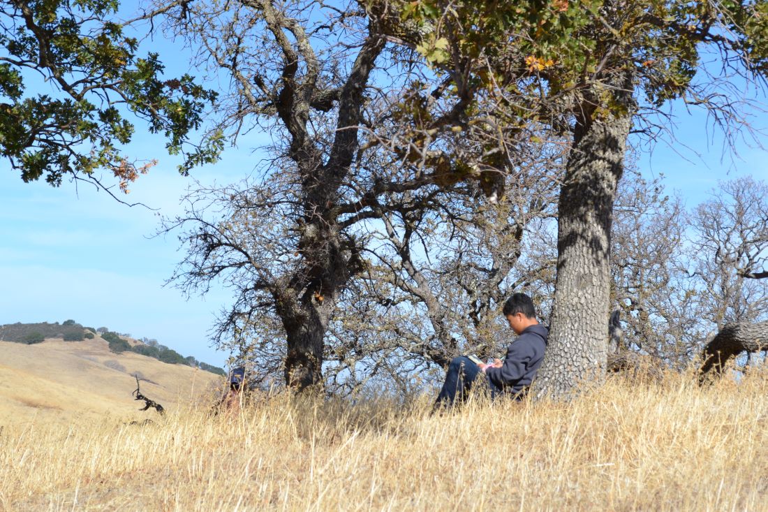 Save mount diablo acquires 98 acre schwendel ranch
