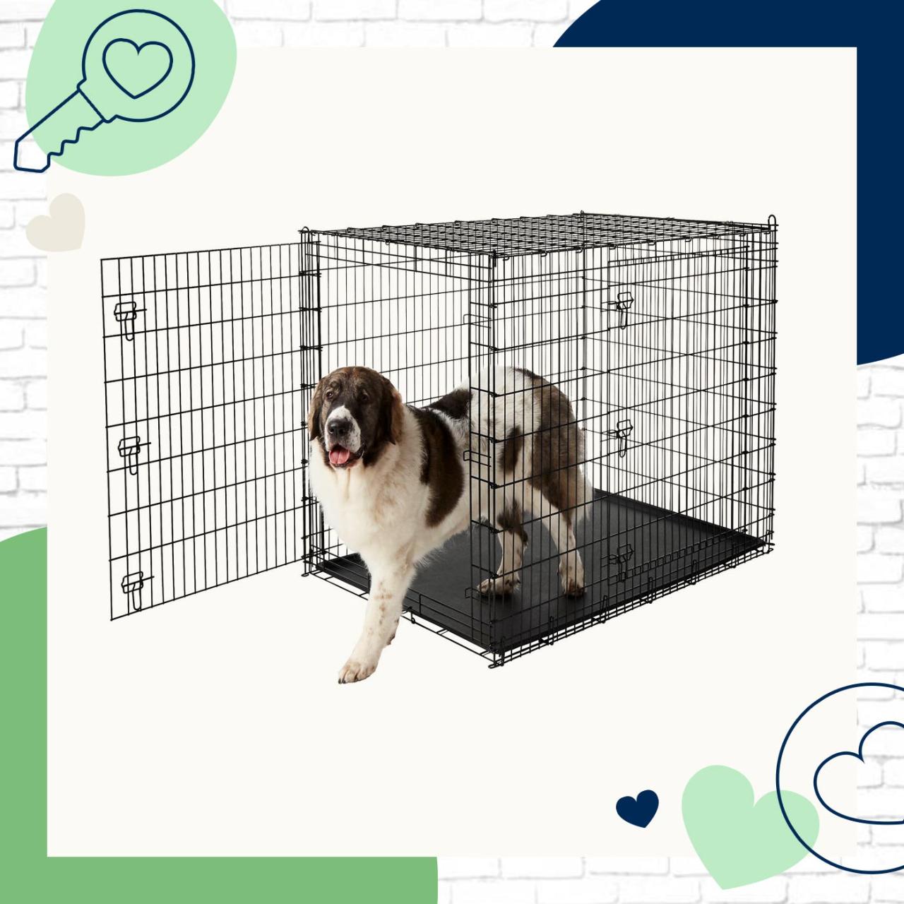 The best dog crate