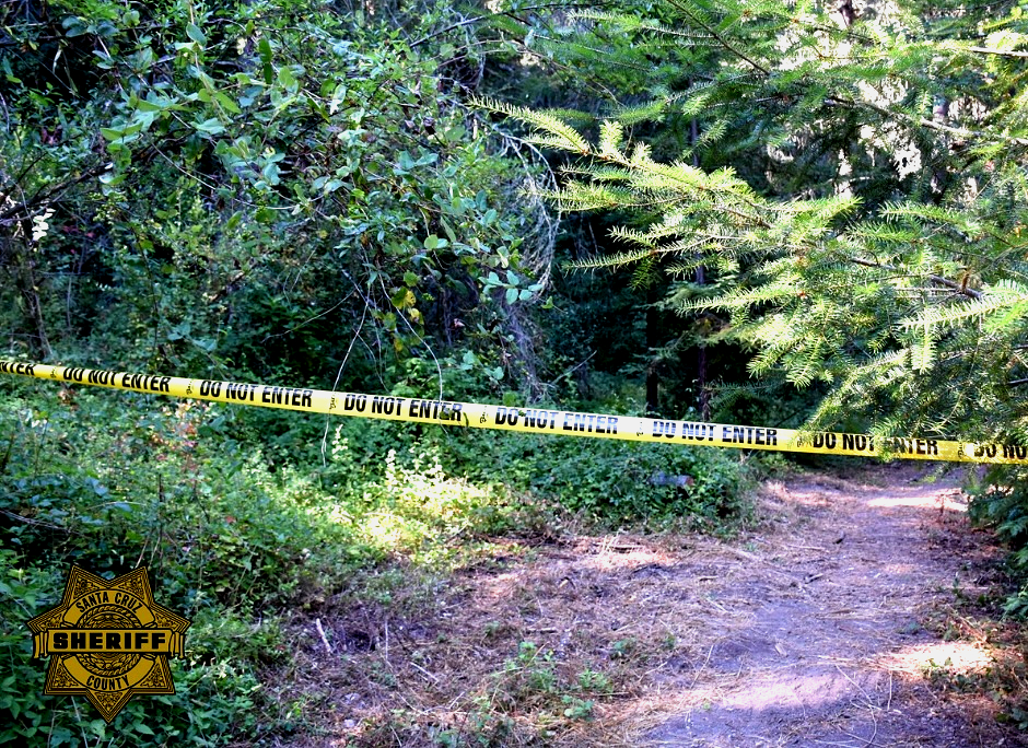 Man goes missing after leaping into ocean north of santa cruz