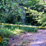 Man goes missing after leaping into ocean north of santa cruz