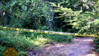 Man goes missing after leaping into ocean north of santa cruz