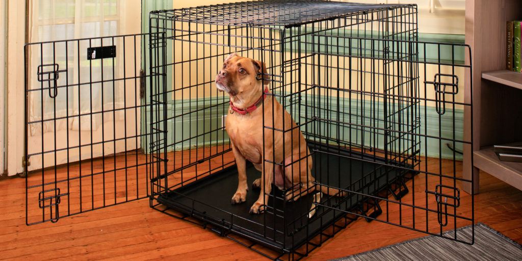 The best dog crate