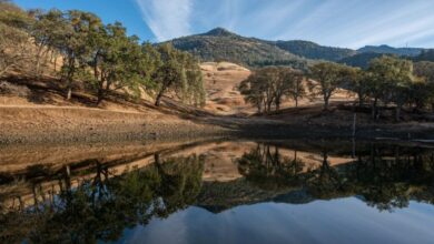 Save mount diablo acquires 98 acre schwendel ranch