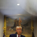 Trump national security council detailees