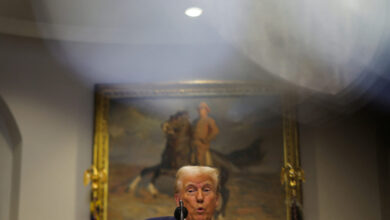 Trump national security council detailees