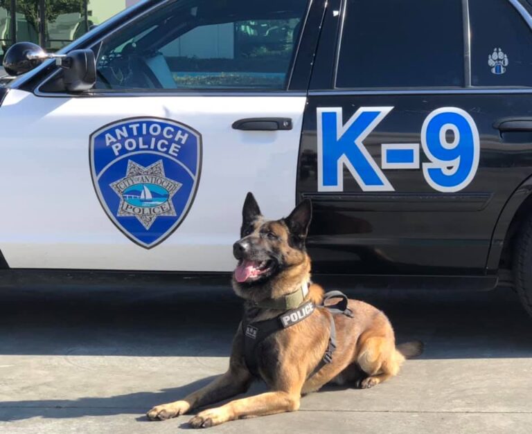 Fate of ex antioch k9 cop accused of plotting to brutalize residents now in jurys hands