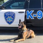 Fate of ex antioch k9 cop accused of plotting to brutalize residents now in jurys hands