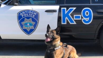 Fate of ex antioch k9 cop accused of plotting to brutalize residents now in jurys hands