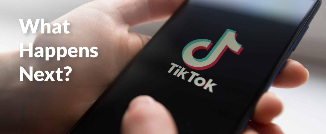 Tiktok ban how will it work