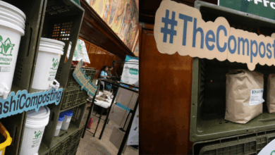 Plastic ban bags australia opportunity historic happening so what