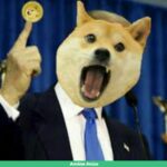 Doge joins us government