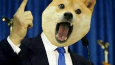 Doge joins us government