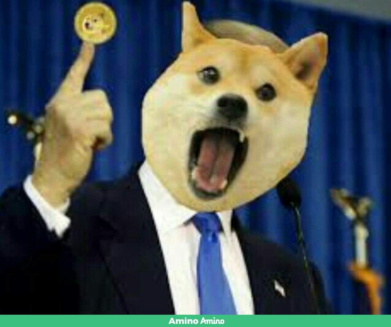 Doge joins us government